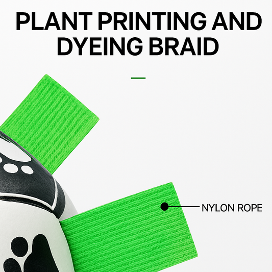 Interactive Soccer Brain Game for Dogs