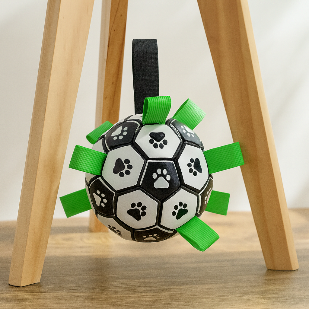 Interactive Soccer Brain Game for Dogs