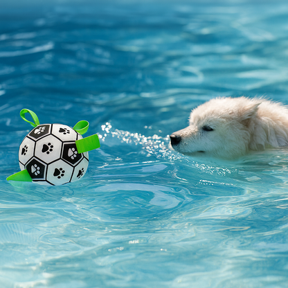 Interactive Soccer Brain Game for Dogs